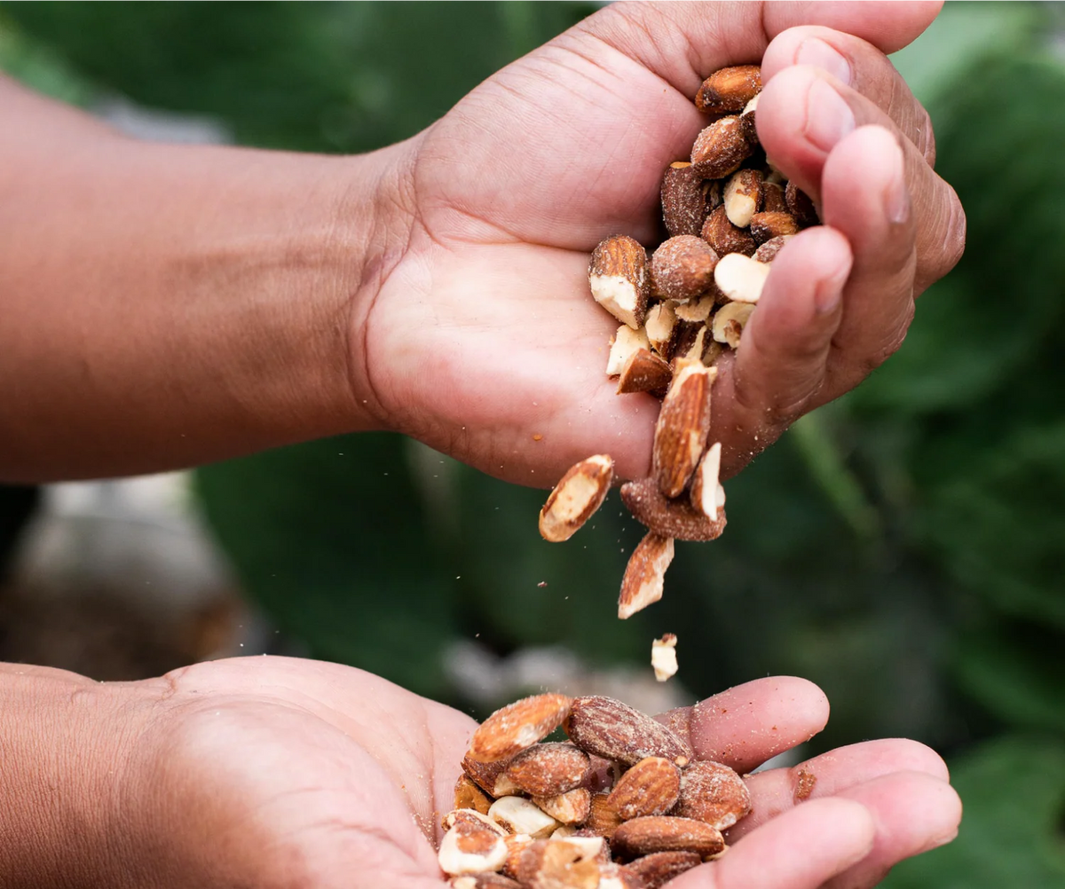 Hands pouring roasted nuts from one hand to the other